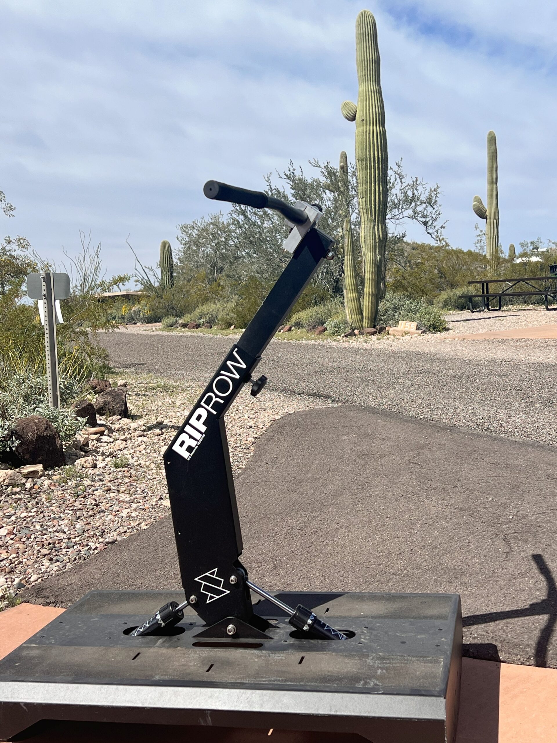 Riprow mtb training device in front of saguaro cacti