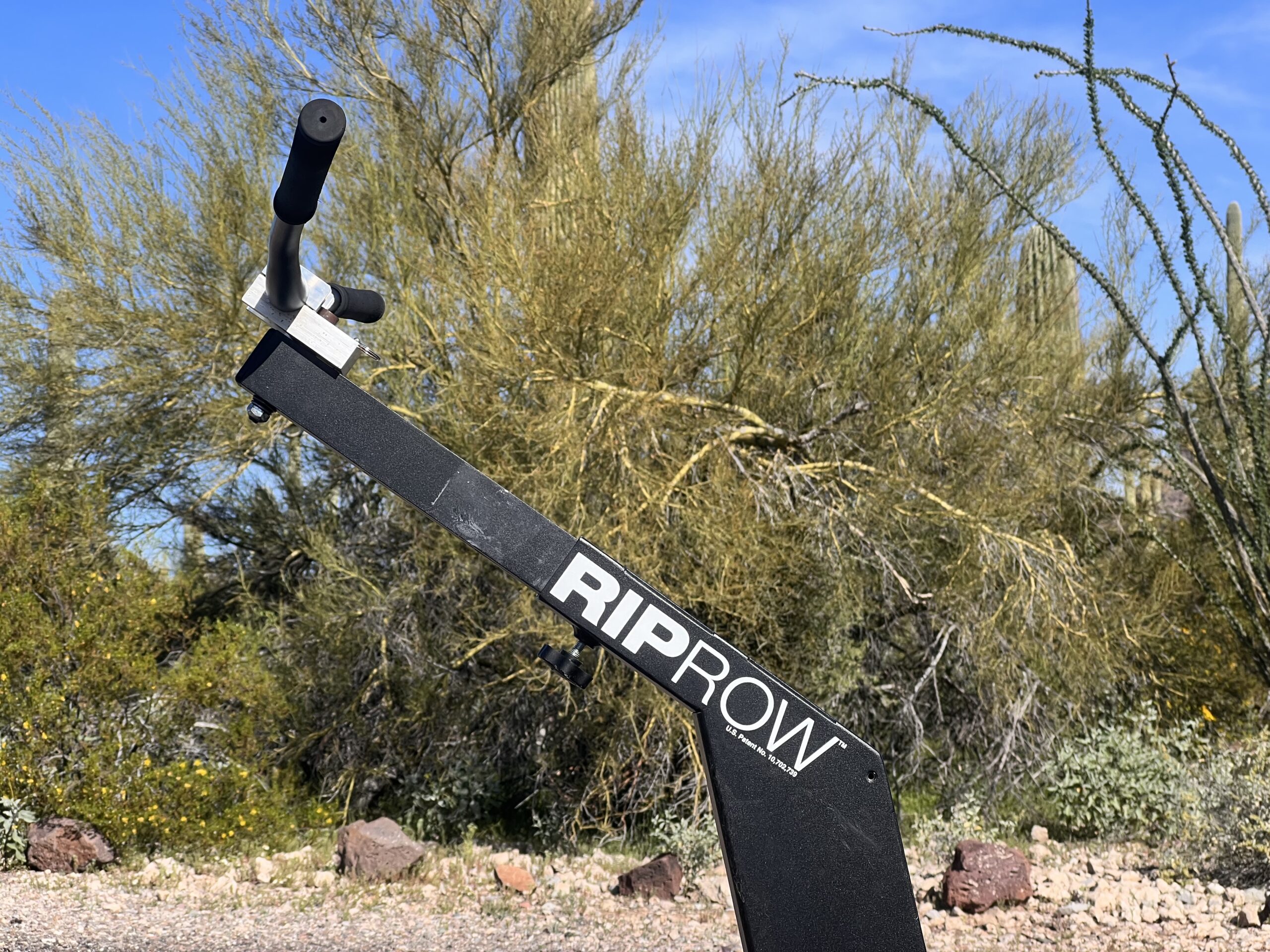 Riprow mtb training device in front of saguaro cacti